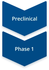 Diagram of clinical trial phases showing Preclinical and Phase 1 stages