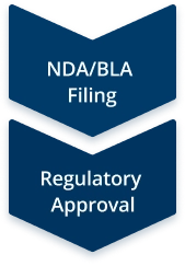Flowchart showing the NDA BLA filing and regulatory approval stages