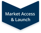 Market Access and Launch strategy chevron icon
