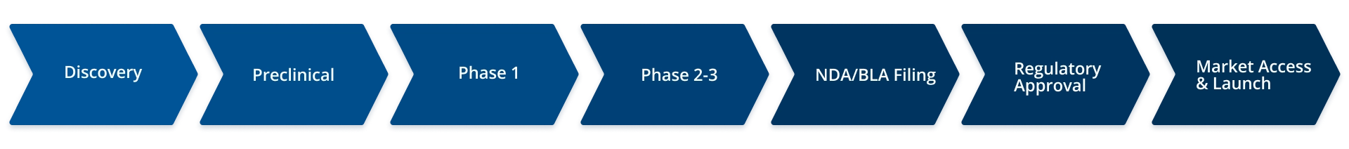 Flowchart showing the stages of the pharmaceutical drug development process from Discovery to Market Access and Launch.
